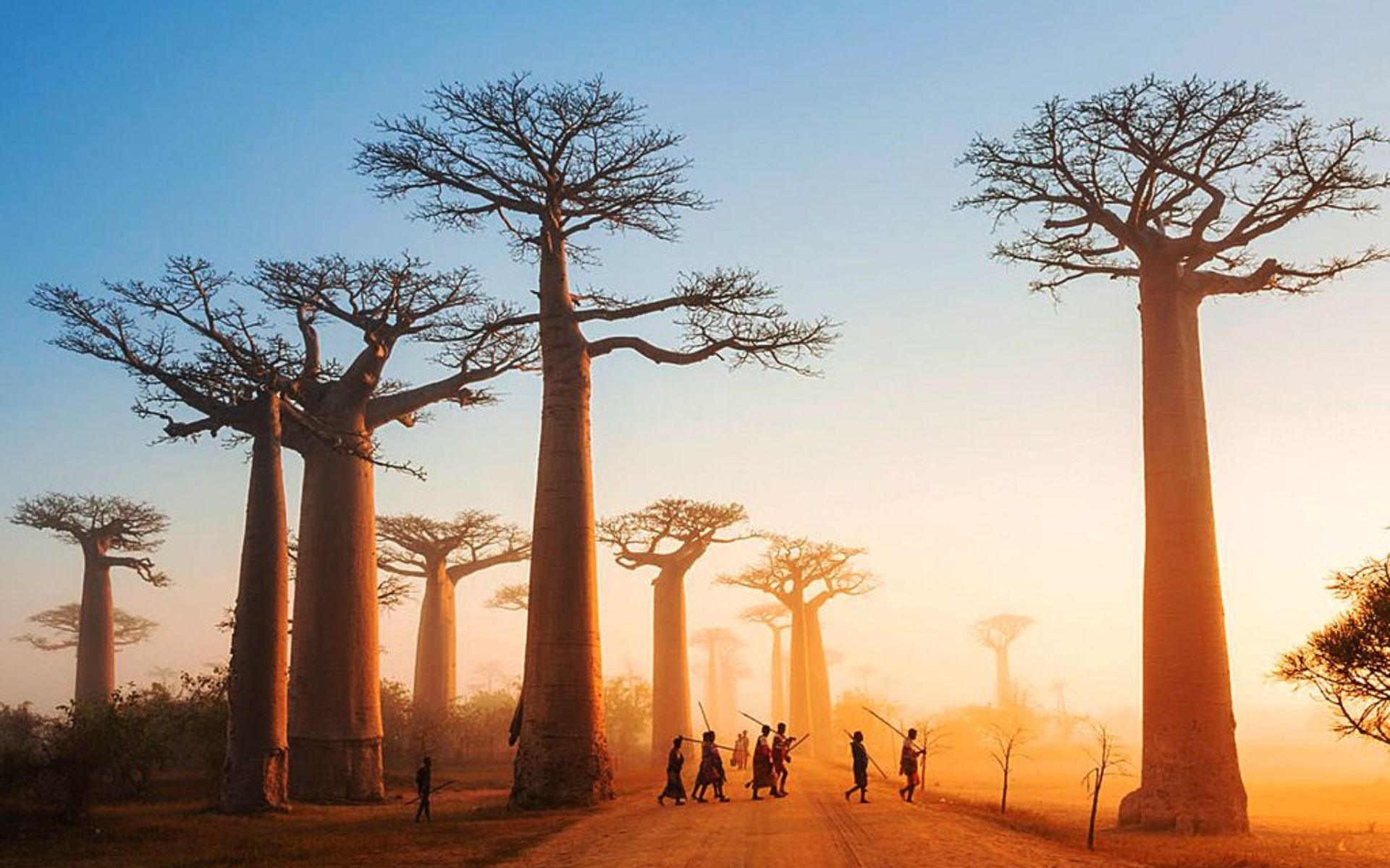 madagascar