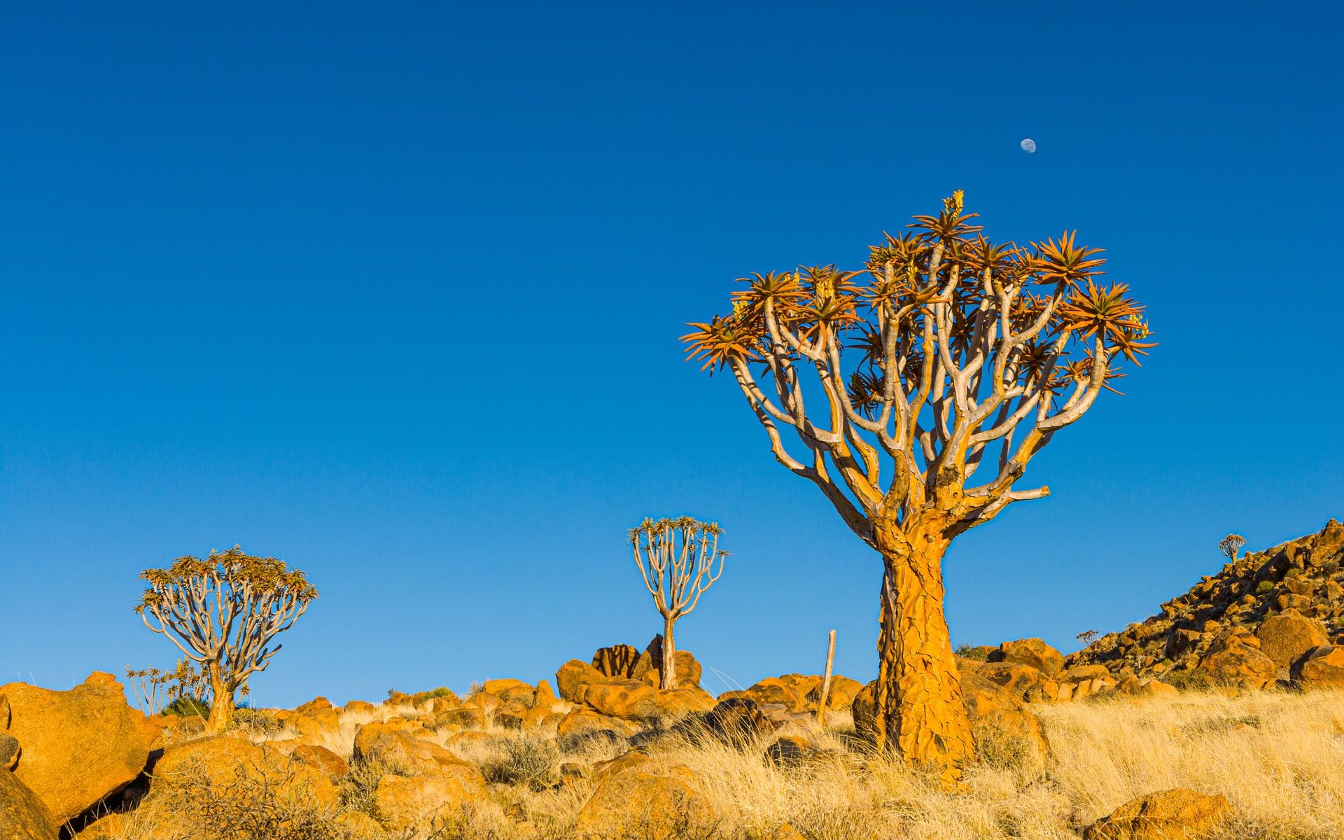 namibia